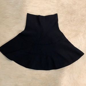 ZARA Knit Skirt